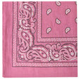 Light Pink Hanky - Save 25% - Fast Shipping - Sale United Kingdom Stoke-on-trent