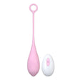 Loving Joy Remote Controlled Vibrating Egg - Love Eggs - Save 25% - Fast Shipping - Sale United Kingdom Stoke-on-trent