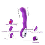 Luxury USB Rechargeable Classic Vibrator Purple