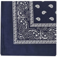 Navy Hanky