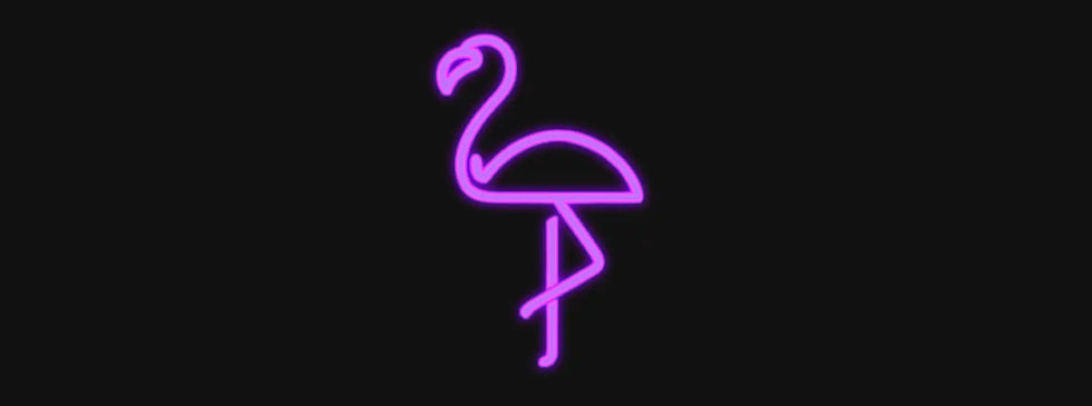 Neon flamingo outline.