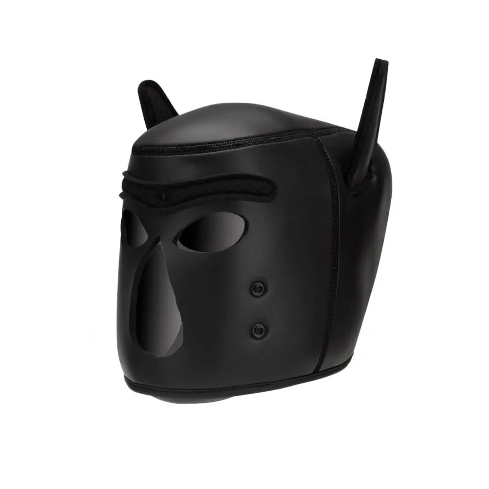 Neoprene Puppy Hood Black - Save 25% - Fast Shipping - Sale United Kingdom Stoke-on-trent