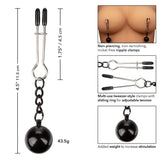 Nipple Grips Weighted Tweezer Clamps - Save 30% - Sale