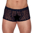 Noir Sheer Animal Print Pants - Fast Shipping - Sale United Kingdom Stoke-on-trent