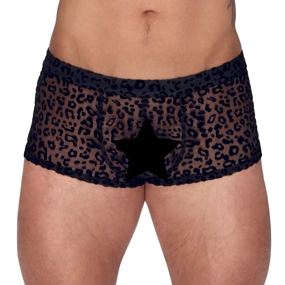 Noir Sheer Animal Print Pants - Fast Shipping - Sale United Kingdom Stoke-on-trent