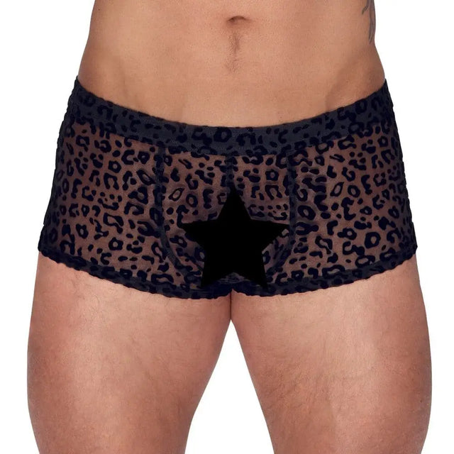 Noir Sheer Animal Print Pants - Fast Shipping - Sale United Kingdom Stoke-on-trent