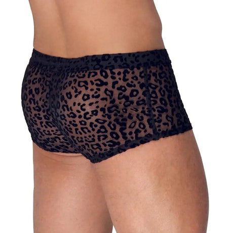 Noir Sheer Animal Print Pants - Fast Shipping - Sale United Kingdom Stoke-on-trent