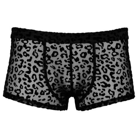 Noir Sheer Animal Print Pants - Fast Shipping - Sale United Kingdom Stoke-on-trent