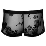 Noir Sheer Floral Lace Pants - Fast Shipping - Sale United Kingdom Stoke-on-trent