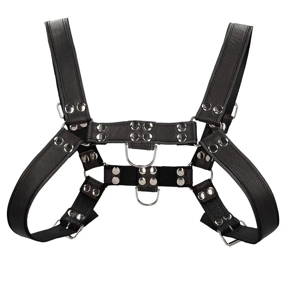 Ouch Chest Bulldog Harness Black Large to Xlarge - Save 30% - Fast Shipping - Sale United Kingdom Stoke-on-trent