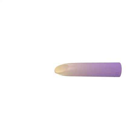 Party Color Lippy Rechargeable Bullet Vibrator Purple Lippy Fast Shipping United Kingdom Stoke on Trent