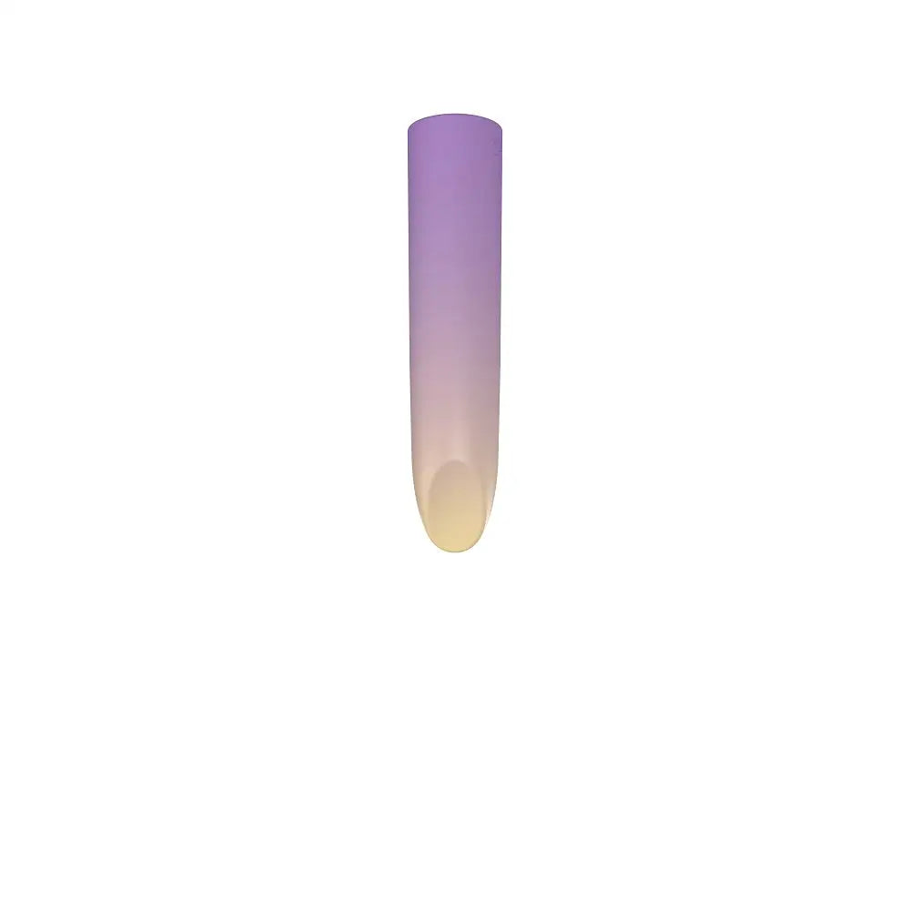 Party Color Lippy Rechargeable Bullet Vibrator Purple Lippy Fast Shipping United Kingdom Stoke on Trent