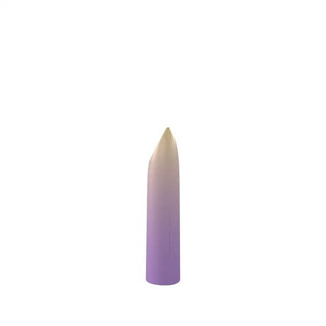 Party Color Lippy Rechargeable Bullet Vibrator Purple Lippy Fast Shipping United Kingdom Stoke on Trent