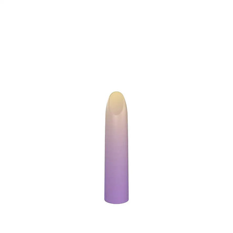 Party Color Lippy Rechargeable Bullet Vibrator Purple Lippy Fast Shipping United Kingdom Stoke on Trent