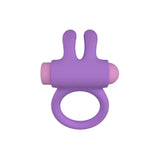 Party Color Riny Remote Control Rabbit Cock Ring Purple Riny Fast Shipping United Kingdom Stoke on Trent