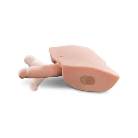 Pdx Male Dirty Talk Interactive Fuck Him Silly Masturbator - Light - Save 20% - Pdx - Sale United Kingdom Stoke-on-trent