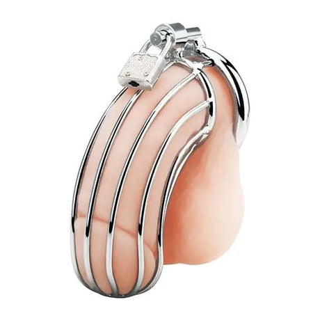 Prisoner Cock Cage Silver - Save 25% - Fast Shipping - Sale United Kingdom Stoke-on-trent