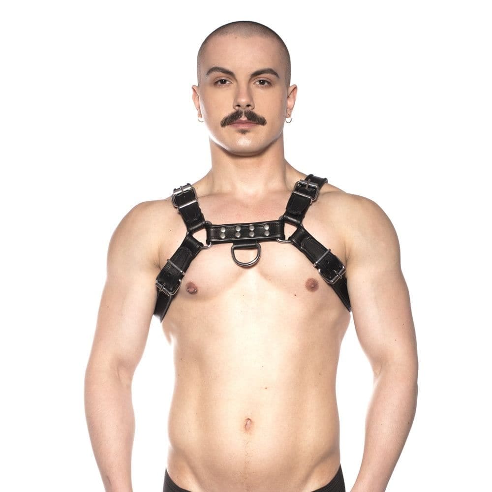 Prowler Red Bull Harness Black Medium