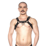 Prowler Red Bull Harness Black Medium