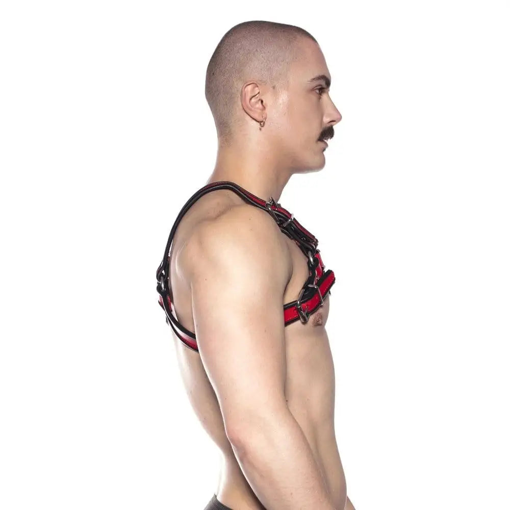Prowler Red Bull Harness Black/red Xl - Save 30% - Red Black/red Xl - Fast Shipping - Sale United Kingdom Stoke-on-trent