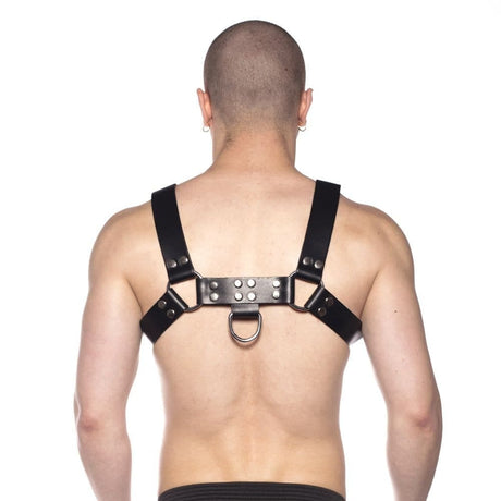 Prowler Red Butch Harness Black/silver Large - Save 25% - Sale