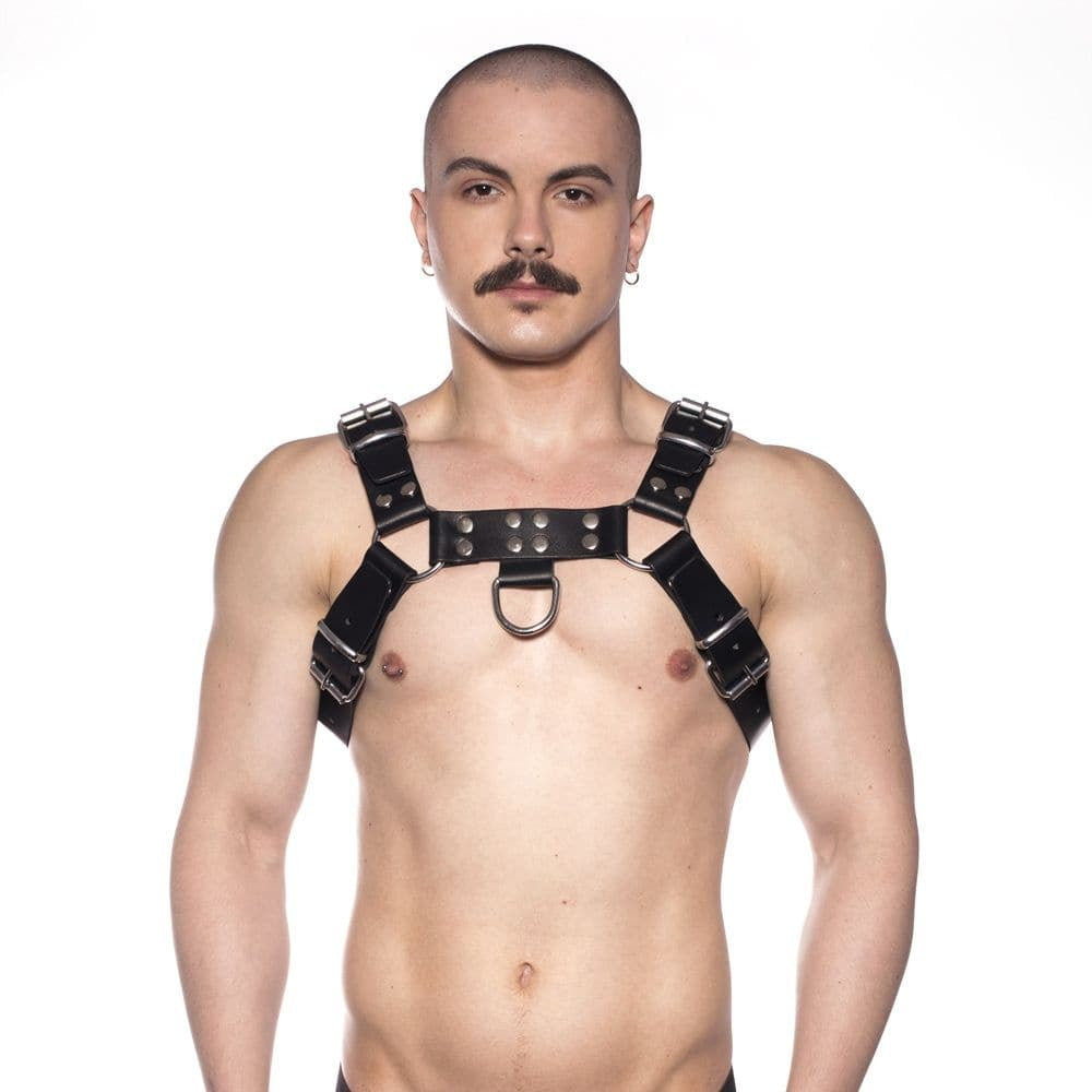 Prowler Red Butch Harness Black/Silver XL