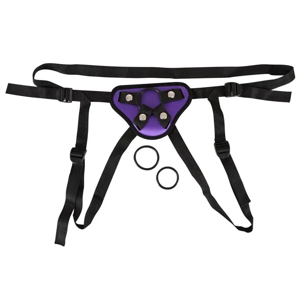 Purple and Black Universal Harness - Save 25% - and - Fast Shipping - Sale United Kingdom Stoke-on-trent
