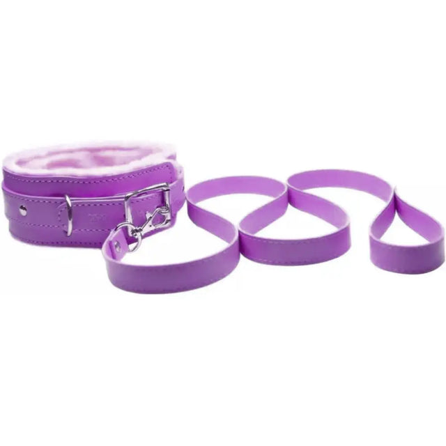 Purple Collar and Lead Only - Save 15% - Fast Shipping - Sale United Kingdom Stoke-on-trent