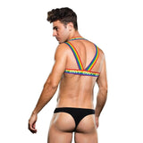 Rainbow Harness S/M