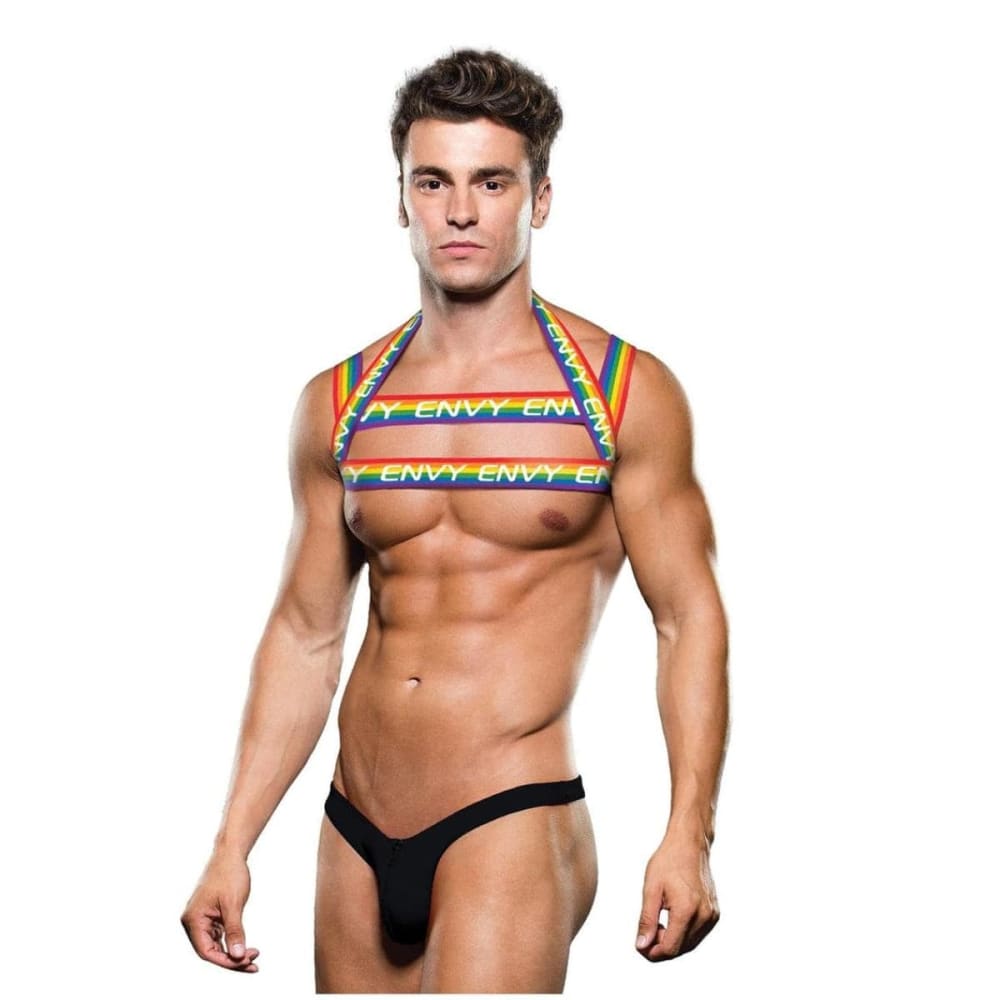 Rainbow Harness S/M