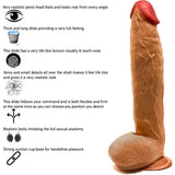 Realistic Dildo Sex Toy for Women Men Couples Real Feel Brown Dong Suction Cup - for - Original Sexy Emporium United Kingdom Stoke-on-trent
