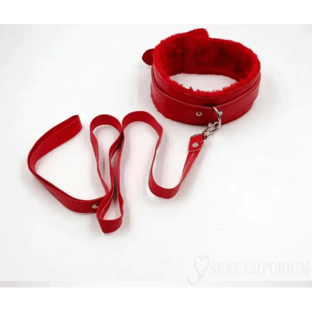Red Collar and Lead Only - Save 25% - Fast Shipping - Sale United Kingdom Stoke-on-trent