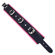 Rouge Garments Black and Pink Padded Collar - Save 30% - and - Fast Shipping - Sale United Kingdom Stoke-on-trent