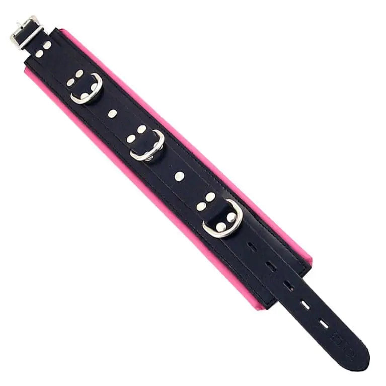 Rouge Garments Black and Pink Padded Collar - Save 30% - and - Fast Shipping - Sale United Kingdom Stoke-on-trent