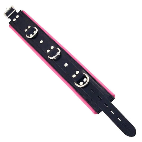 Rouge Garments Black and Pink Padded Collar - Save 30% - and - Fast Shipping - Sale United Kingdom Stoke-on-trent