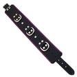 Rouge Garments Black and Purple Padded Collar - Save 15% - and - Fast Shipping - Sale United Kingdom Stoke-on-trent