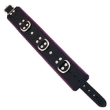 Rouge Garments Black and Purple Padded Collar - Save 15% - and - Fast Shipping - Sale United Kingdom Stoke-on-trent