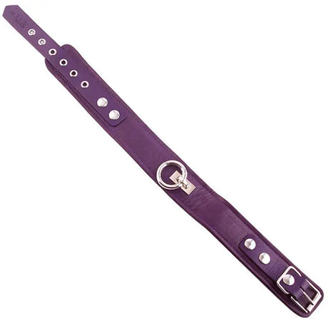 Rouge Garments Plain Purple Leather Collar - Save 30% - Fast Shipping - Sale United Kingdom Stoke-on-trent