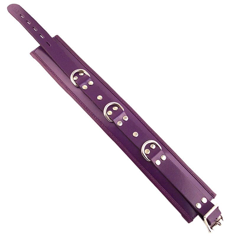 Rouge Garments Purple Padded Collar - Save 30% - Sale