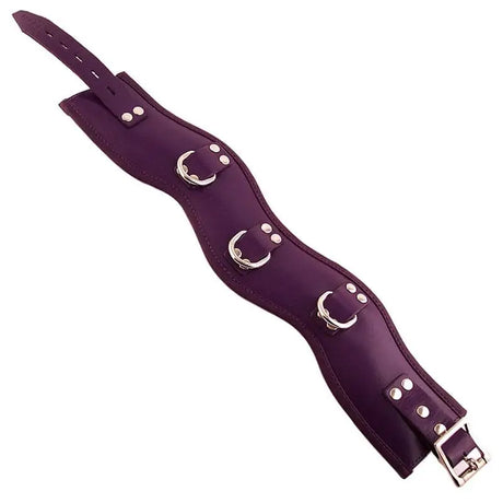 Rouge Garments Purple Padded Posture Collar - Save 25% - Fast Shipping - Sale United Kingdom Stoke-on-trent