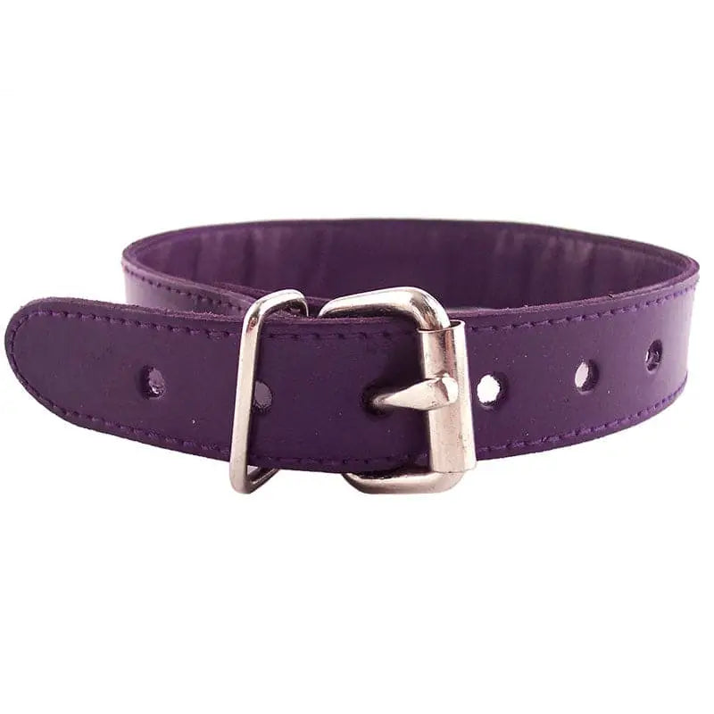 Rouge Garments Purple Studded Oring Collar - Save 30% - Oring - Fast Shipping - Sale United Kingdom Stoke-on-trent