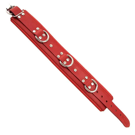 Rouge Garments Red Padded Collar - Save 15% - Fast Shipping - Sale United Kingdom Stoke-on-trent