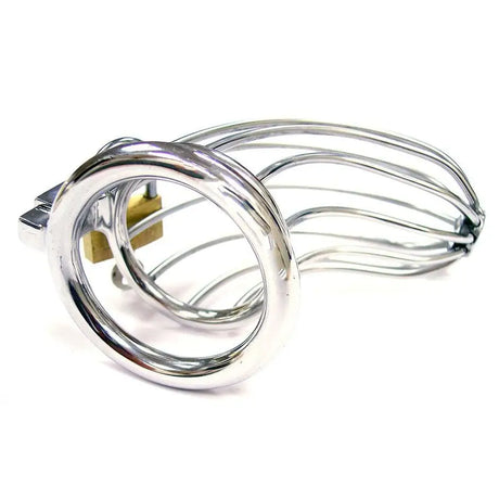 Rouge Stainless Steel Chasity Cock Cage with Padlock - Save 30% - with - Fast Shipping - Sale United Kingdom Stoke-on-trent