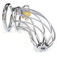 Rouge Stainless Steel Chasity Cock Cage with Padlock - Save 30% - with - Fast Shipping - Sale United Kingdom Stoke-on-trent
