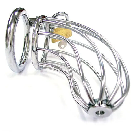 Rouge Stainless Steel Chasity Cock Cage with Padlock - Save 30% - with - Fast Shipping - Sale United Kingdom Stoke-on-trent