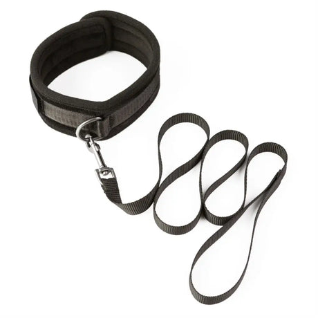 Sei Mio - Take the Lead - Padded Neck Collar and Leash - Save 25% - Sei Mio - Fast Shipping - Sale United Kingdom Stoke-on-trent