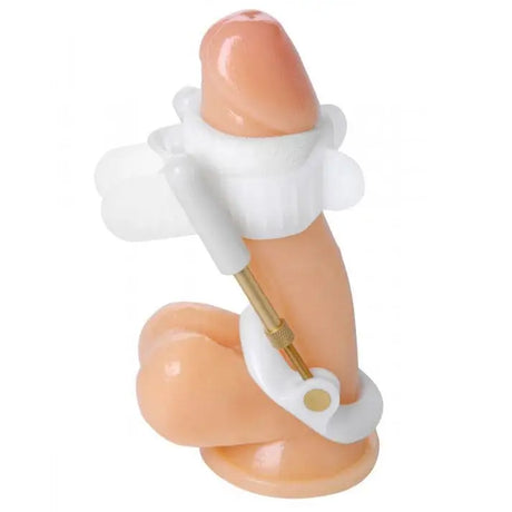 Size Matters Deluxe Penile Aid System - Save 30% - Fast Shipping - Sale United Kingdom Stoke-on-trent