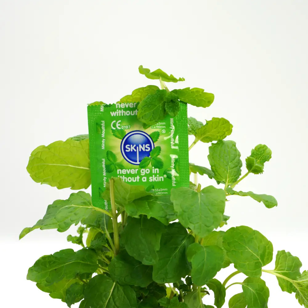 Skins Condoms Mint 4 Pack - Save 35% - Fast Shipping - Sale United Kingdom Stoke-on-trent