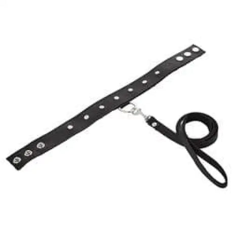 Sportsheets Leather Leash and Collar - Save 30% - Sportsheets and - Fast Shipping - Sale United Kingdom Stoke-on-trent