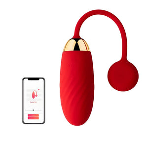 App/Remote Controlled Vibrators